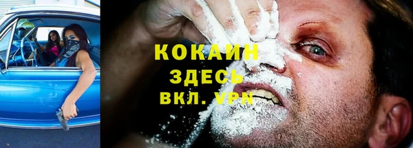 героин Богданович