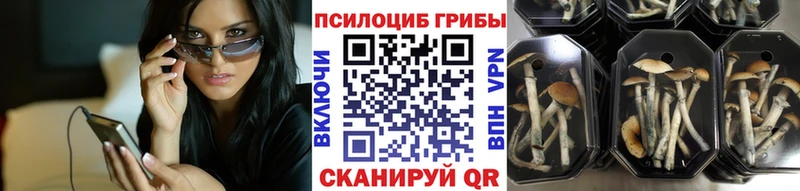 Псилоцибиновые грибы прущие грибы  что такое наркотик  Череповец 